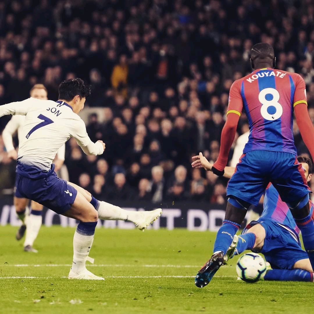 律和宪法的 律和宪法的